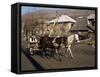 Botiba Village, Maramuresh Region, Romania-Liba Taylor-Framed Stretched Canvas