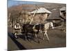 Botiba Village, Maramuresh Region, Romania-Liba Taylor-Mounted Photographic Print