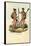 Botocudo Indians, 1863-79-Raimundo Petraroja-Framed Stretched Canvas