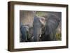 Botswana. Chobe National Park. Elephant. Mother and Calf-Inger Hogstrom-Framed Photographic Print