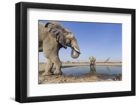 Botswana, Chobe National Park, Elephants and Giraffes at a Water Hole-Paul Souders-Framed Photographic Print