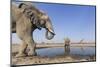 Botswana, Chobe National Park, Elephants and Giraffes at a Water Hole-Paul Souders-Mounted Photographic Print