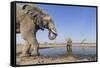 Botswana, Chobe National Park, Elephants and Giraffes at a Water Hole-Paul Souders-Framed Stretched Canvas