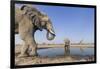 Botswana, Chobe National Park, Elephants and Giraffes at a Water Hole-Paul Souders-Framed Premium Photographic Print