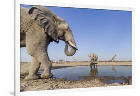 Botswana, Chobe National Park, Elephants and Giraffes at a Water Hole-Paul Souders-Framed Photographic Print