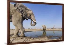 Botswana, Chobe National Park, Elephants and Giraffes at a Water Hole-Paul Souders-Framed Photographic Print