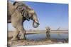 Botswana, Chobe National Park, Elephants and Giraffes at a Water Hole-Paul Souders-Stretched Canvas