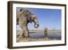 Botswana, Chobe National Park, Elephants and Giraffes at a Water Hole-Paul Souders-Framed Photographic Print