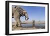 Botswana, Chobe National Park, Elephants and Giraffes at a Water Hole-Paul Souders-Framed Photographic Print