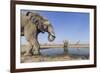 Botswana, Chobe National Park, Elephants and Giraffes at a Water Hole-Paul Souders-Framed Photographic Print