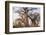 Botswana. Chobe National Park. Savuti. Baobab Trees with Branches Like Gnarled Hands-Inger Hogstrom-Framed Photographic Print