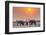 Botswana. Chobe National Park. Savuti. Harvey's Pan. Elephants Drinking at a Water Hole at Sunset-Inger Hogstrom-Framed Photographic Print