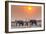 Botswana. Chobe National Park. Savuti. Harvey's Pan. Elephants Drinking at a Water Hole at Sunset-Inger Hogstrom-Framed Photographic Print