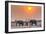 Botswana. Chobe National Park. Savuti. Harvey's Pan. Elephants Drinking at a Water Hole at Sunset-Inger Hogstrom-Framed Photographic Print