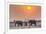 Botswana. Chobe National Park. Savuti. Harvey's Pan. Elephants Drinking at a Water Hole at Sunset-Inger Hogstrom-Framed Photographic Print