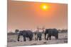 Botswana. Chobe National Park. Savuti. Harvey's Pan. Elephants Drinking at a Water Hole at Sunset-Inger Hogstrom-Mounted Photographic Print