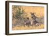 Botswana. Chobe National Park. Savuti. Pride of Lions Resting in the Shade-Inger Hogstrom-Framed Photographic Print