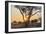 Botswana. Chobe National Park. Savuti. Sun Setting Beyond Rain Trees-Inger Hogstrom-Framed Photographic Print