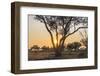 Botswana. Chobe National Park. Savuti. Sun Setting Beyond Rain Trees-Inger Hogstrom-Framed Photographic Print