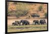 Botswana. Chobe National Park-Inger Hogstrom-Framed Photographic Print