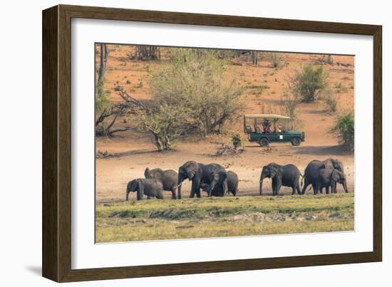 Botswana. Chobe National Park-Inger Hogstrom-Framed Photographic Print