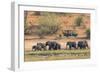 Botswana. Chobe National Park-Inger Hogstrom-Framed Photographic Print