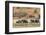 Botswana. Chobe National Park-Inger Hogstrom-Framed Photographic Print