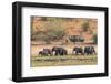 Botswana. Chobe National Park-Inger Hogstrom-Framed Photographic Print