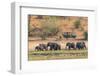 Botswana. Chobe National Park-Inger Hogstrom-Framed Photographic Print