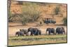Botswana. Chobe National Park-Inger Hogstrom-Mounted Photographic Print