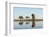 Botswana, Chobe NP, African Elephant at Water Hole in Savuti Marsh-Paul Souders-Framed Photographic Print