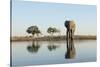 Botswana, Chobe NP, African Elephant at Water Hole in Savuti Marsh-Paul Souders-Stretched Canvas