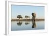 Botswana, Chobe NP, African Elephant at Water Hole in Savuti Marsh-Paul Souders-Framed Photographic Print