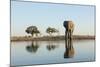 Botswana, Chobe NP, African Elephant at Water Hole in Savuti Marsh-Paul Souders-Mounted Photographic Print