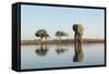 Botswana, Chobe NP, African Elephant at Water Hole in Savuti Marsh-Paul Souders-Framed Stretched Canvas