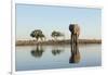 Botswana, Chobe NP, African Elephant at Water Hole in Savuti Marsh-Paul Souders-Framed Photographic Print