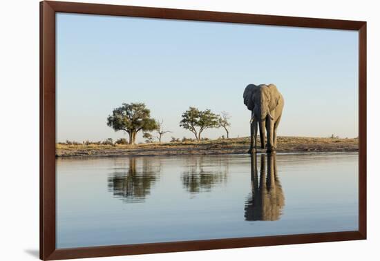 Botswana, Chobe NP, African Elephant at Water Hole in Savuti Marsh-Paul Souders-Framed Photographic Print