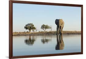 Botswana, Chobe NP, African Elephant at Water Hole in Savuti Marsh-Paul Souders-Framed Photographic Print