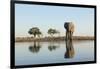 Botswana, Chobe NP, African Elephant at Water Hole in Savuti Marsh-Paul Souders-Framed Photographic Print