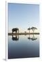 Botswana, Chobe NP, African Elephant at Water Hole in Savuti Marsh-Paul Souders-Framed Premium Photographic Print