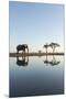 Botswana, Chobe NP, African Elephant at Water Hole in Savuti Marsh-Paul Souders-Mounted Premium Photographic Print