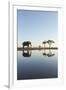 Botswana, Chobe NP, African Elephant at Water Hole in Savuti Marsh-Paul Souders-Framed Photographic Print