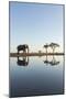 Botswana, Chobe NP, African Elephant at Water Hole in Savuti Marsh-Paul Souders-Mounted Photographic Print