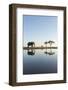 Botswana, Chobe NP, African Elephant at Water Hole in Savuti Marsh-Paul Souders-Framed Photographic Print