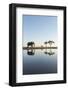 Botswana, Chobe NP, African Elephant at Water Hole in Savuti Marsh-Paul Souders-Framed Photographic Print