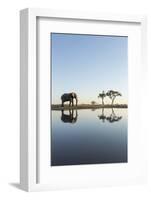 Botswana, Chobe NP, African Elephant at Water Hole in Savuti Marsh-Paul Souders-Framed Photographic Print