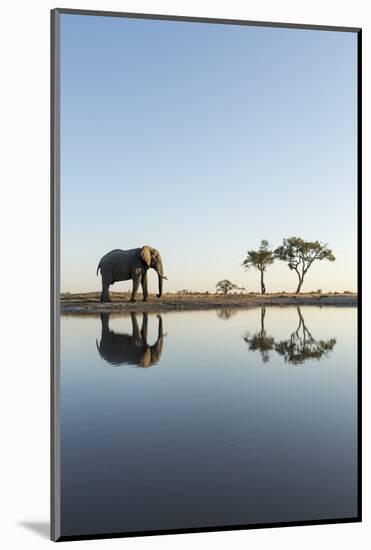 Botswana, Chobe NP, African Elephant at Water Hole in Savuti Marsh-Paul Souders-Mounted Photographic Print