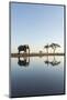 Botswana, Chobe NP, African Elephant at Water Hole in Savuti Marsh-Paul Souders-Mounted Photographic Print