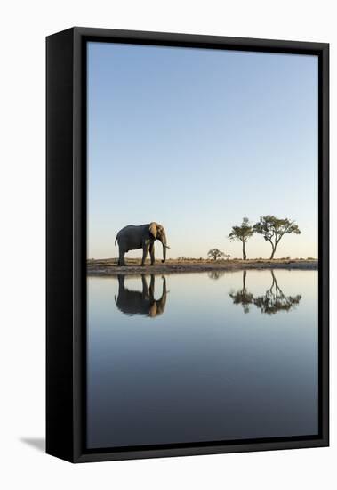 Botswana, Chobe NP, African Elephant at Water Hole in Savuti Marsh-Paul Souders-Framed Stretched Canvas