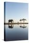 Botswana, Chobe NP, African Elephant at Water Hole in Savuti Marsh-Paul Souders-Stretched Canvas